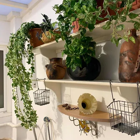 Dream Central Plaza * סנטה קרוז דה טנריף