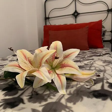 Dream Central Plaza Apartment