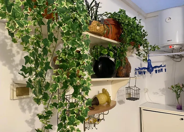 Appartement Dream Central Plaza