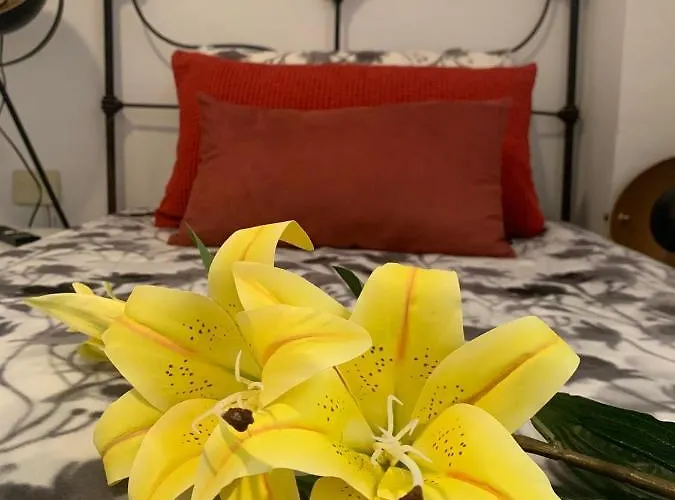 Dream Central Plaza Daire *