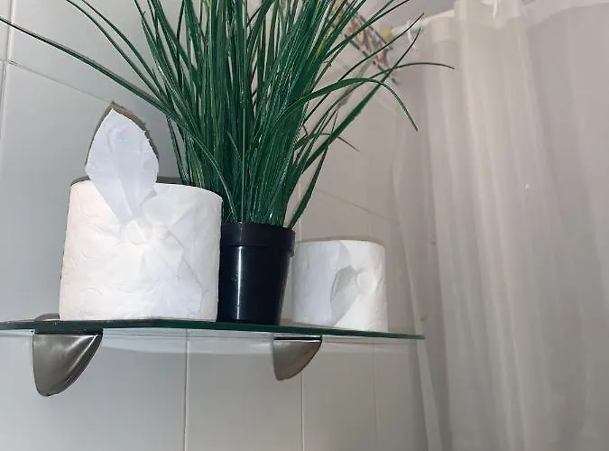 Daire Dream Central Plaza Santa Cruz de Tenerife