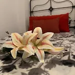 Dream Central Plaza Апартаменты
