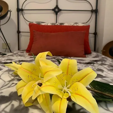 Dream Central Plaza Apartmán *