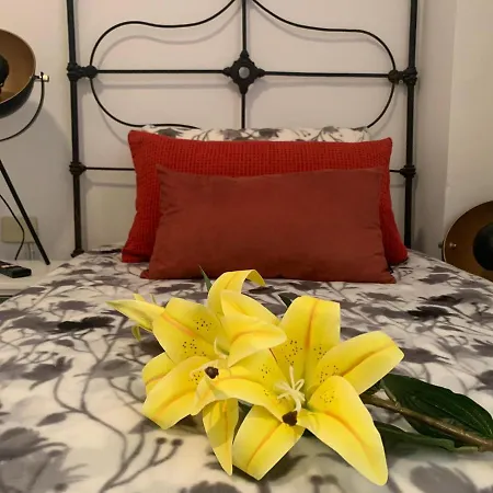 Appartement Dream Central Plaza