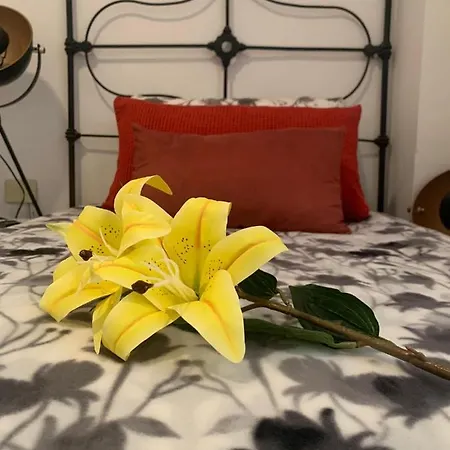 Apartmán Dream Central Plaza *