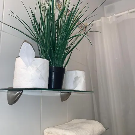 Apartmán Dream Central Plaza Santa Cruz de Tenerife