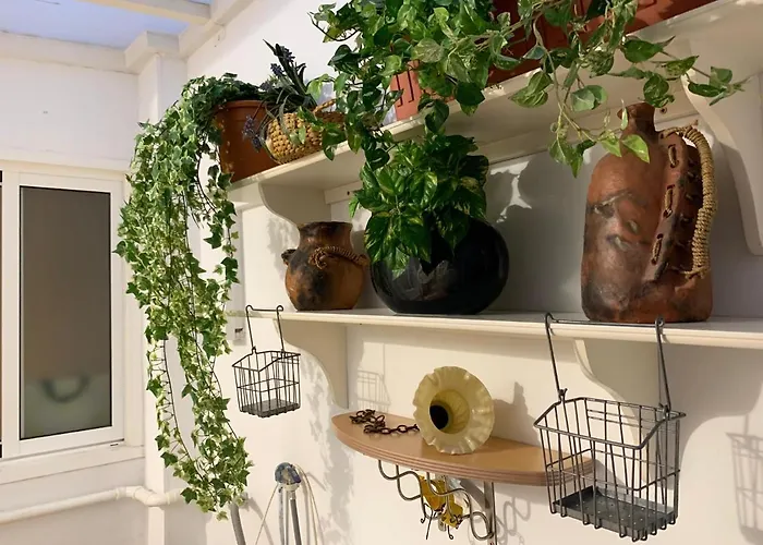 Dream Central Plaza * Santa Cruz de Tenerife