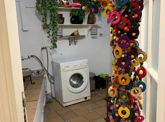 Apartament Dream Central Plaza *