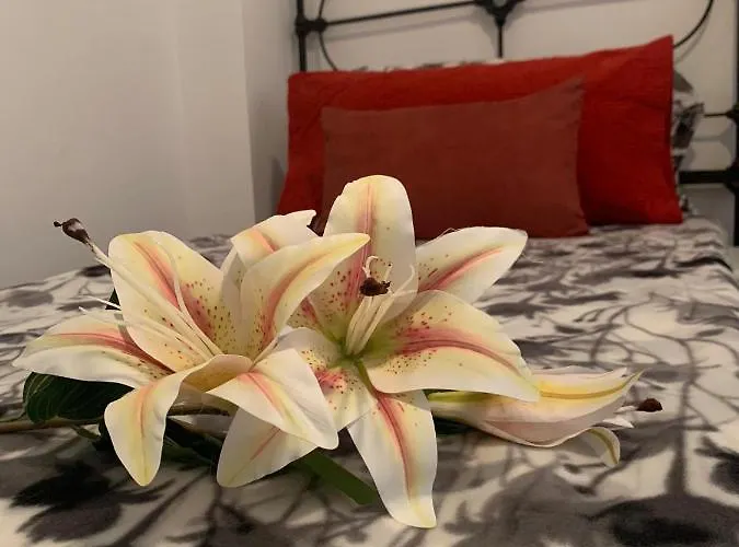 Dream Central Plaza Apartament