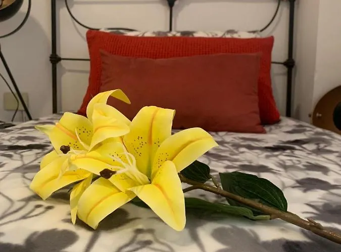 Apartament Dream Central Plaza *