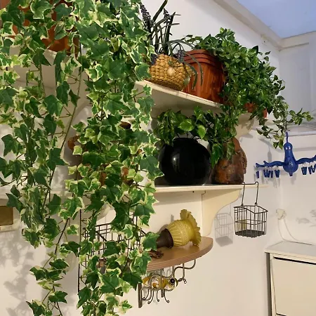 Διαμέρισμα Dream Central Plaza